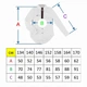 Блуза Deloras 152 белая 62047 - изображение 4