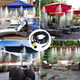 Система полива сада и огорода 15 м Patio Mist душ ороситель туманообразователь для беседок - изображение 3