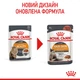 Консерви для кішок Royal Canin Hair & Skin Care підтримання краси шерсті, шматочки в соусі, 85 г - зображення 10