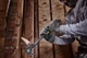 Молоток DeWalt DEM-CLAW цельнометаллический вес головки 624 г (DWHT51008-0) - изображение 3