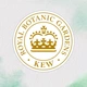 Маска для волос Herbal Essences Аргановое масло Восстанавливающая 300 мл (8700216210966) - изображение 3