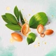 Маска для волос Herbal Essences Аргановое масло Восстанавливающая 300 мл (8700216210966) - изображение 4