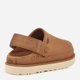 Chodaki damskie na platformie UGG Goldenstar Clog W 1138252-CHESTNUT 38 Brązowe (196565243393) - obraz 4