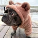 Одяг для собак "Teddy Sweatshirt FRB" . SKU 004540. Розмір XL. Your Stylish Hunter. Худі для собак для французського бульдога, мопса, спанієля, та інших. - зображення 8