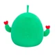 М'яка іграшка Squishmallows – Друзі Кактуси (2 шт, 19 см) (6900007372824) - зображення 5