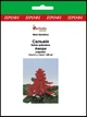 Сальвия Аморе, скарлет, 100 шт Садиба Центр - изображение 1