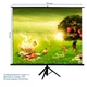 Проекционный экран ATRIA ECO TRM-AV-84 мобильный тренога 119" 213x213см 1:1 - изображение 1