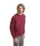 Свитшот мужской Fruit of the Loom Classic set-in sweat M Бордовый (062202041M) - изображение 4