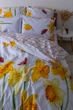 Комплект постельного белья ТЕП Soft dreams 716 Нарцисс 70x70 см полуторный 145x210 см (2-03857_25900) - изображение 2