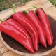 Насіння Перцю Satimex Анахайм, 20 шт, Садиба Центр - зображення 3