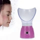 Паровая сауна для лица, ингалятор 2 в 1 Professional Facial Steamer BY-1078 Osenjie - изображение 6
