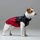 Одяг для собак дощовик “Dragon”. SKU 00596. Розмір M. Your Stylish Hunter. Дощовик для собак для такс, коргі, джек расселів, цвергпінчерів та іншіх. - зображення 3