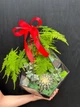 Флораріум "Plants room" капля h 40 см - изображение 2