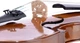 Скрипка Stentor 1500/A Student II Violin Outfit 4/4 - изображение 5