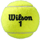 Набір тенісних м'ячів Wilson Roland Garros All Court WRT116400 4 шт Жовтий (887768887735) - зображення 2