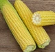 Насіння Кукурудзи Lark Seeds Добриня F1, 20 шт, Садиба Центр - зображення 2