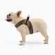 Шлея HIDOG COMFORT Молодіжний XXS 28-34см (135/1036) - изображение 4