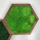 Сота с Кочковым мхом в рамке размер 18х15 рамка деревянная Natural Wood - изображение 1