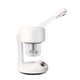 Паровий вапоризатор від Ion Steam Beauty DT-03 з функцією озонування BuyBeauty - изображение 1