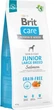 Сухий корм Brit Care Dog Grain-free Junior Large Breed для молодих собак великих порід беззерновий з лососем 12 кг (172201) - зображення 1