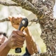 Складная пила Fiskars Plus™ SW69 (1067553) - изображение 8
