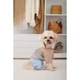 Дощовик для собак Pet Fashion Tina L - изображение 6