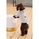 Худі для собак Pet Fashion Home XS-2 - изображение 5