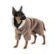 Костюм для собак Pet Fashion Alf XS - изображение 1