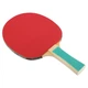 Набор Donic ракетки для настольного тенниса Appelgren 400 2-player set (788638) - изображение 4