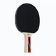 Ракетка для настольного тенниса Donic-Schildkrot Legends 600 FSC 724416 (Оригинал) - изображение 3