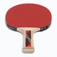 Ракетка для настольного тенниса Donic-Schildkrot Legends 600 FSC 724416 (Оригинал) - изображение 4