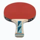 Ракетка для настільного тенісу Donic-Schildkrot Legends 700 FSC 734417 (Оригінал) - зображення 4