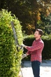 Кусторез сетевой RYOBI RHT8165RL 220В, 800 Вт, 65 см, шаг реза 34 мм, 4 кг (5133003649) - изображение 3