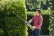 Кущоріз Ryobi мережевий RHT8165RL 800Вт 65см крок різу 34мм 4кг (5133003649) - изображение 4
