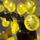 Світлодіодна новорічна гірлянда "Лимони" 20 LED, 7м + перехідник, 220V, IP44, Теплий білий - зображення 5