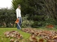 Садовий пилосос-повітродувка Black+Decker GW3031BP-QS - изображение 3