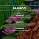 Ароматичний освіжувач повітря REIMA Bamboo 250 мл - зображення 3
