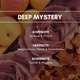 Ароматичний освіжувач повітря REIMA Deep Mystery 250 мл - зображення 3