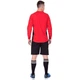 Форма вратарская свитер и шорты SP-Sport LIGHT CO-024 L красный - изображение 2
