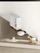 Робот-пилосос Xiaomi Robot Vacuum S20 White 294203 - зображення 7