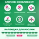 Цибулини Еремурус Moneymaker Гігантський (245008) - зображення 4