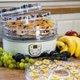 Сушилка для продуктов с регулировкой температуры 240Вт(Browin) - изображение 4