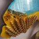 Часы 80х55 см настенные из эпоксидной смолы ручной работы "Карта Украины" с колосками (ЧЕС00000035) - изображение 3