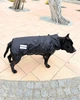 Одежда для собак дождевик "BLACK SHARK". SKU 004784. Размер M. Your Stylish Hunter. Дождевик жилет для собак средних и больших пород, от спаниеля и корги до добермана и овчарки. - изображение 9