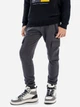 Детские теплые спортивные штаны-джогеры для мальчика Minoti 19fleece88 41367JNR 104-110 см Темно-серые (5063025361285) - изображение 1