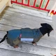 Одяг для собак дощовик “LETO”. SKU 004424. Розмір S. Your Stylish Hunter. Дощовик для собак породи такса, коргі, джек рассел, цвергпінчер та іншіх. - зображення 4