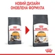 Сухой корм для кошек Royal Canin Hair and Skin Care Здоровья кожи и шерсти, 400 г - изображение 4