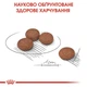 Сухой корм для собак малых пород Royal Canin Digestive Care Mini с чувствительным пищеварением, 3 кг - изображение 7
