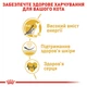 Сухой корм для взрослых кошек породы Сфинкс Royal Canin Adult Sphynx, 2 кг - изображение 5