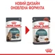 Вологий корм для дорослих котів ROYAL CANIN HAIRBALL CARE 85 г (4158001) - изображение 2